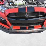 DSC_0087_00081 (October 14, 2023)